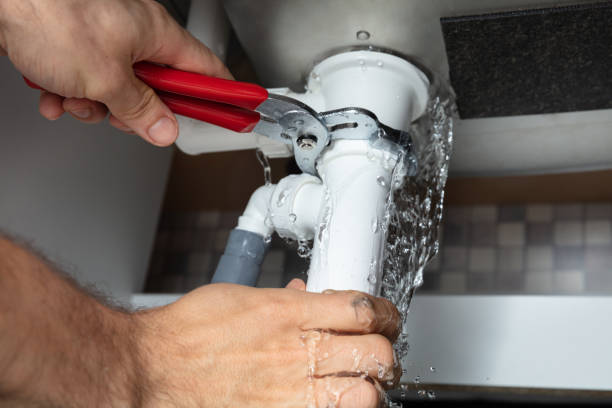 Best Professional water damage repair  in Zionsville, IN