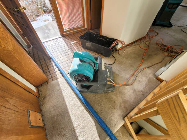 Best 24-hour water damage restoration  in Zionsville, IN