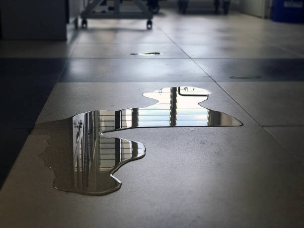 Water damage restoration process in IN
