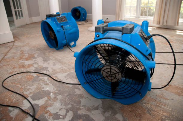 Best Local water damage restoration  in Zionsville, IN